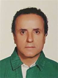 Hossein M. Shodja