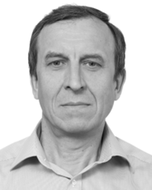 Vitaly V. Kubarev