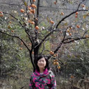 Yang Chang