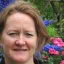 Anne M Skalicky