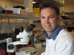 Brad A. Sutherland