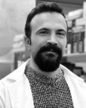 Hamed Taheri Gorji