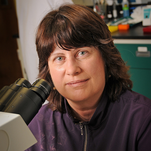 JoAnn Burkholder