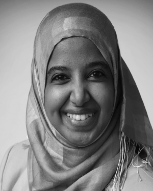 Sanaa H. Mohamed