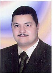 Hosny M. Behnsawy