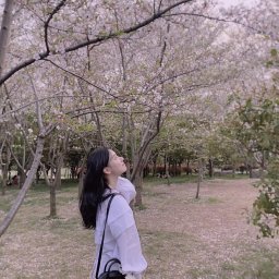 Qing Zheng