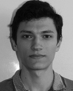 Anton D. Melnikov
