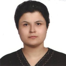 Ghahari Elham