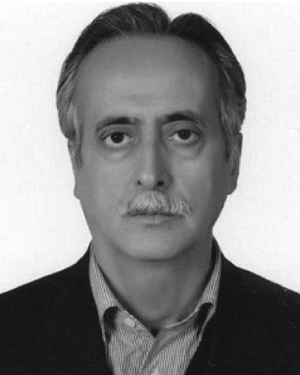 Vahid Tabataba Vakili