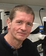 Olivier Pourquié