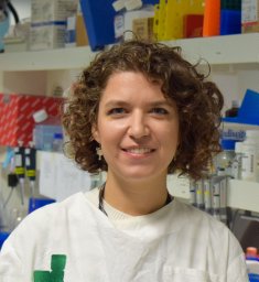 Yolanda Colino-Sanguino