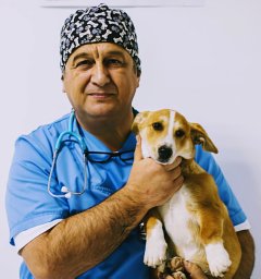 Pance Dameski