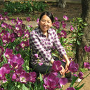 Ma Wei