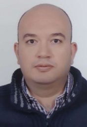 M.Sh. Abdel-Wahab