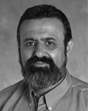 Vladimir Bernshtam