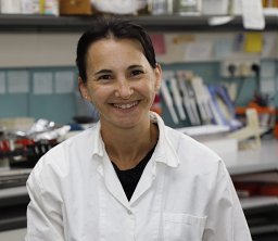 Weiss-Ottolenghi Yael