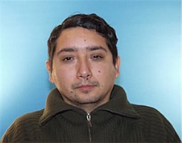 Mario Alberto Ibarra-Manzano