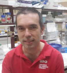 Diego Cotella