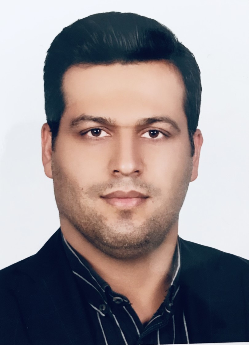 Hamid Gholami