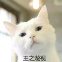 Bo Cao
