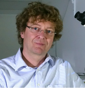 Benedikt Westermann
