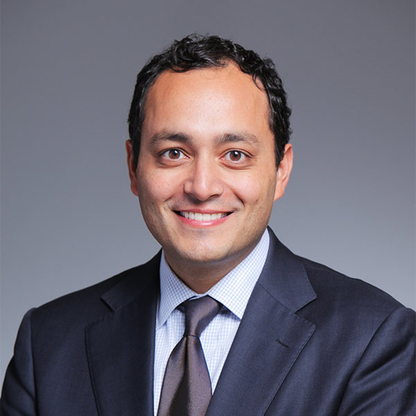 Vishal D. Thanik
