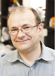 Luc Van Kaer