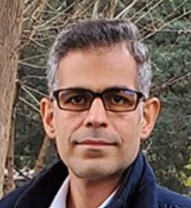 S. Shahab Naghavi