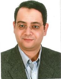Mohamed Shams Eldin