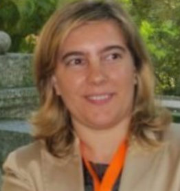 Maria Assunção Flores