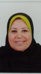 Abdelmoneim H. Ali