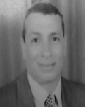 Fathy Z. Amer