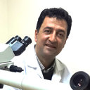 Seyed Mohammad Tavangar