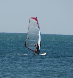 Uros Trdan