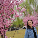Junjun Wang