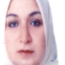 Hanan H. Beherei