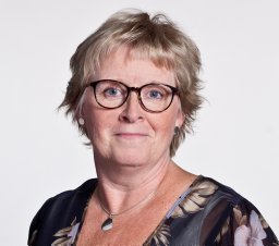 Lena-Karin Erlandsson