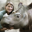 Terri L Roth