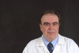 Bernardo M Gontijo