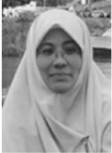 Maslin Masrom