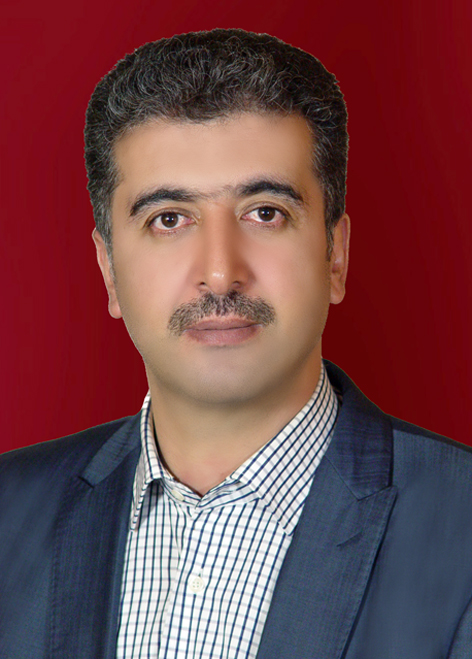 Hossein Shayeghi