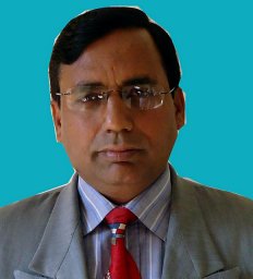 Muhammad Mansha