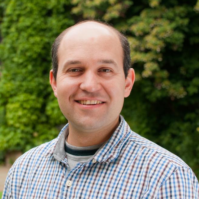 Radu Coldea