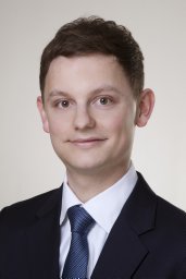 David Geiger