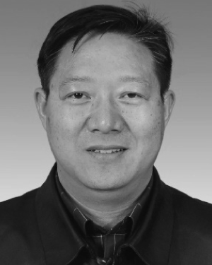 Wenyi Zhang