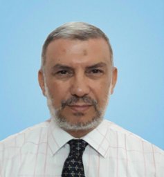 Mohamed S. Mohy Eldin