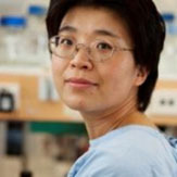 Yuyan Chen