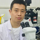 Xuemeng Shi