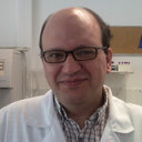 Rogerio Barreira