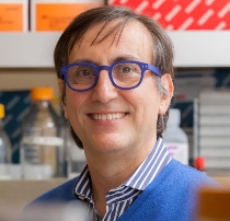 Alessandro Sette